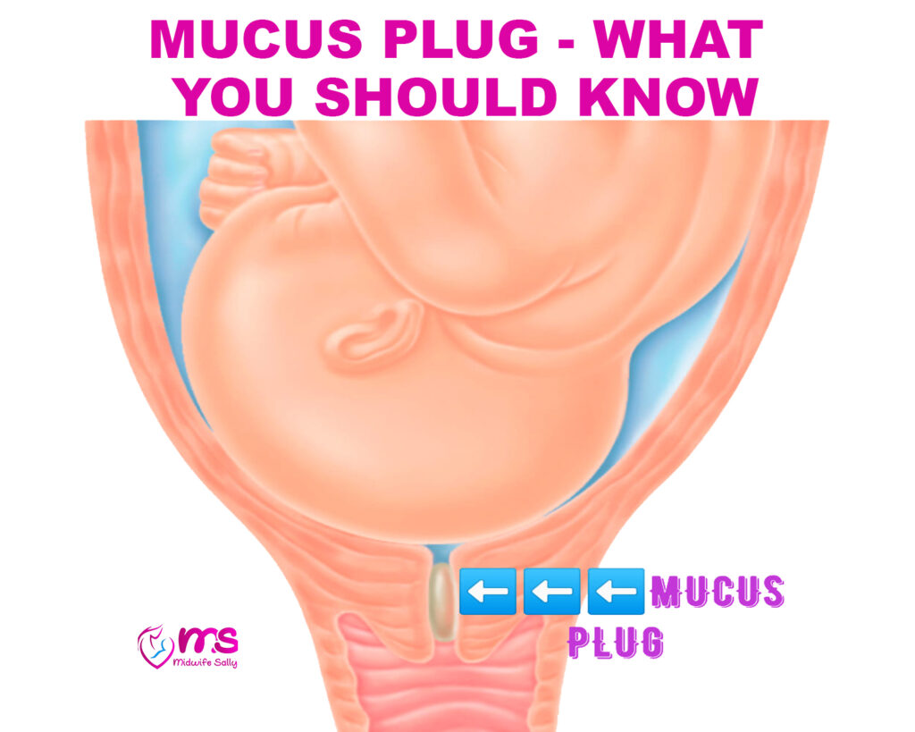 MUCUS PLUG – WHAT YOU SHOULD KNOW