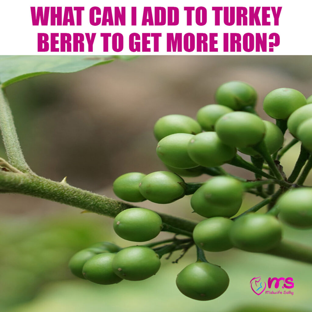 WHAT CAN I ADD TO TURKEY BERRY TO GET MORE IRON?