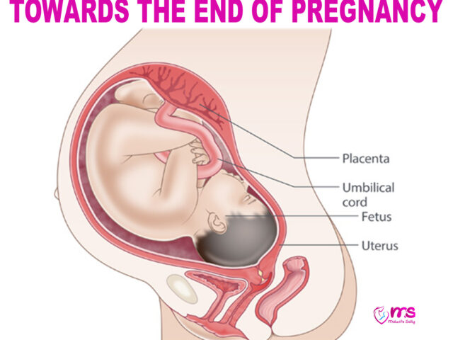TOWARDS THE END OF PREGNANCY