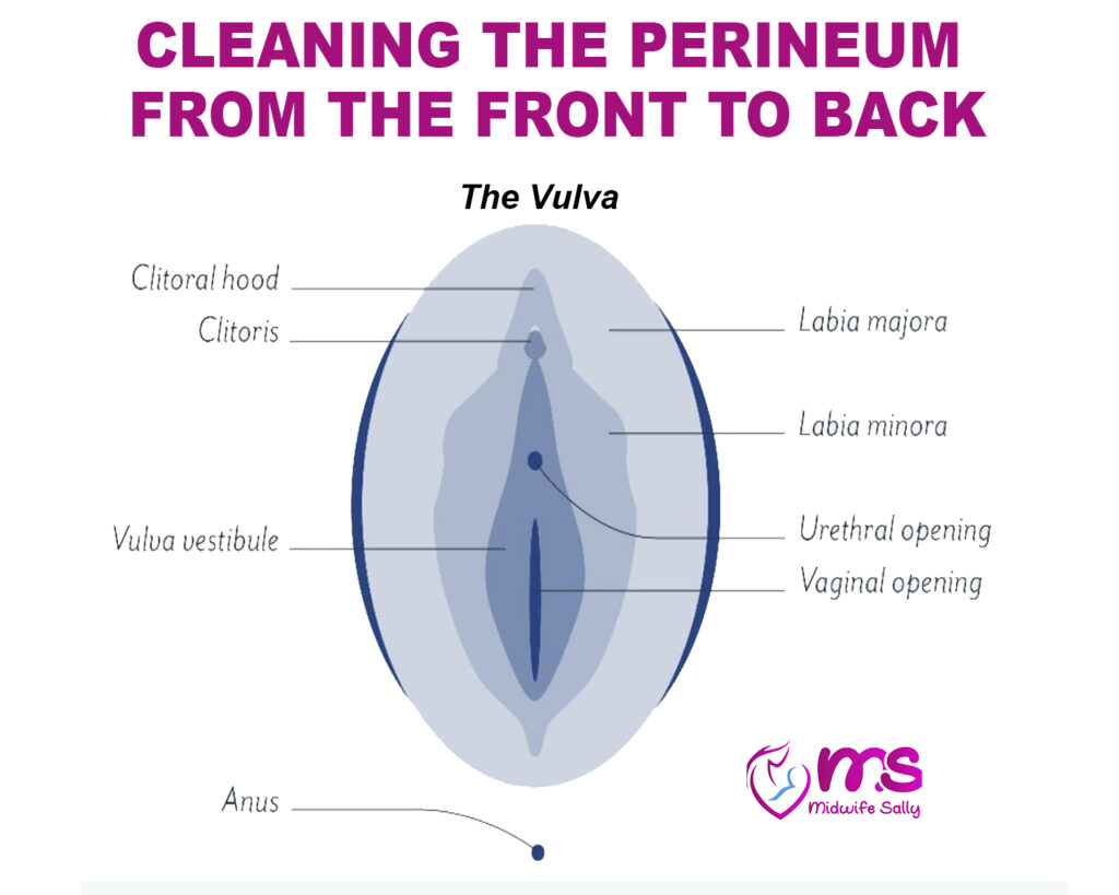 CLEANING THE PERINEUM FROM THE FRONT TO BACK